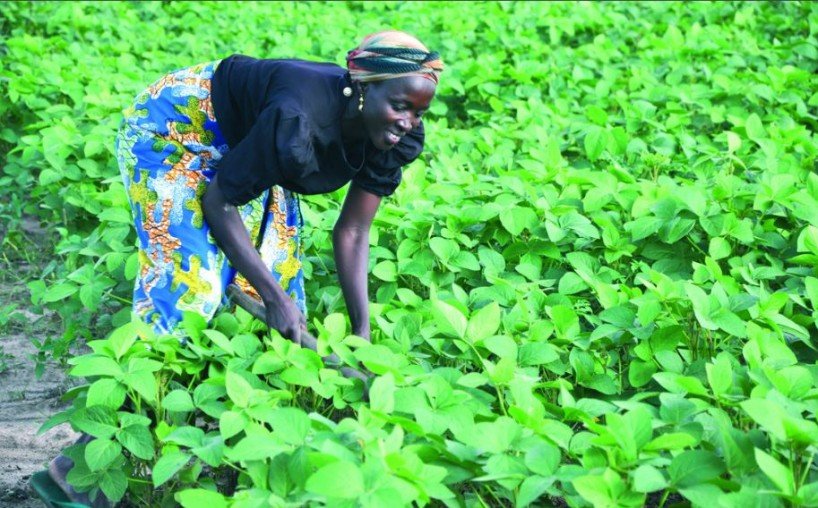 Les femmes et la production alimentaire (Source: International Institute)
